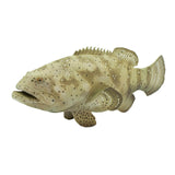 Goliath Grouper Incredible Creatures Animal Figure Safari Ltd - Radar Toys