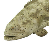Goliath Grouper Incredible Creatures Animal Figure Safari Ltd - Radar Toys