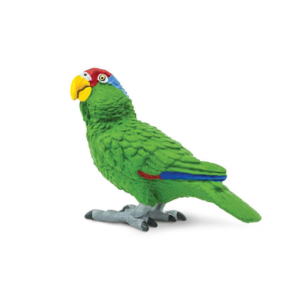 Green-Cheeked Amazon Parrot Wings Of The World Birds Figure Safari Ltd
