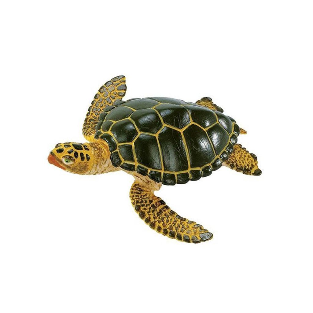 Green Sea Turtle Wild Safari Animal Figure Safari Ltd - Radar Toys