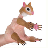 HandiSquirrel Squirrel Set - Radar Toys