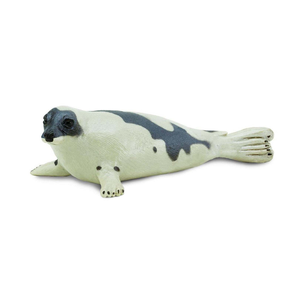 Harp Seal Wild Safari Animal Figure Safari Ltd