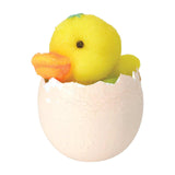 Hatchin' Grow Duck - Radar Toys