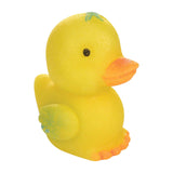 Hatchin' Grow Duck - Radar Toys