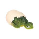 Hatchin' Grow Turtle - Radar Toys