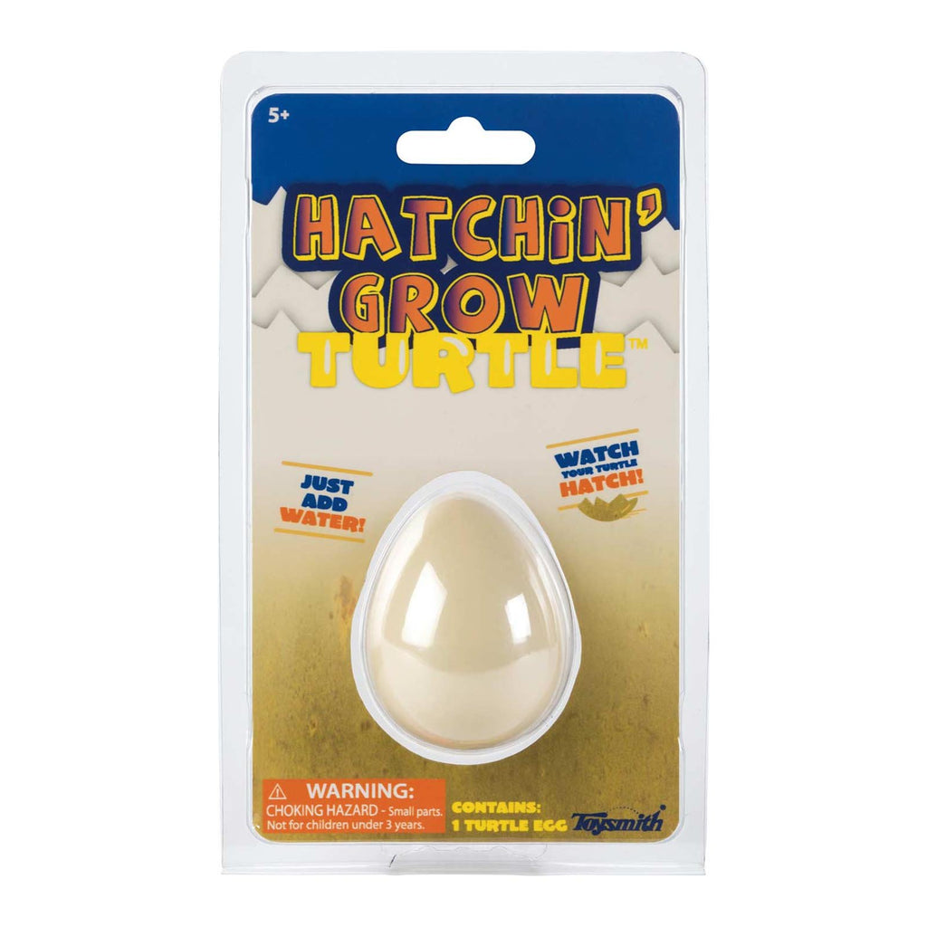 Hatchin' Grow Turtle