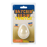 Hatchin' Grow Turtle - Radar Toys