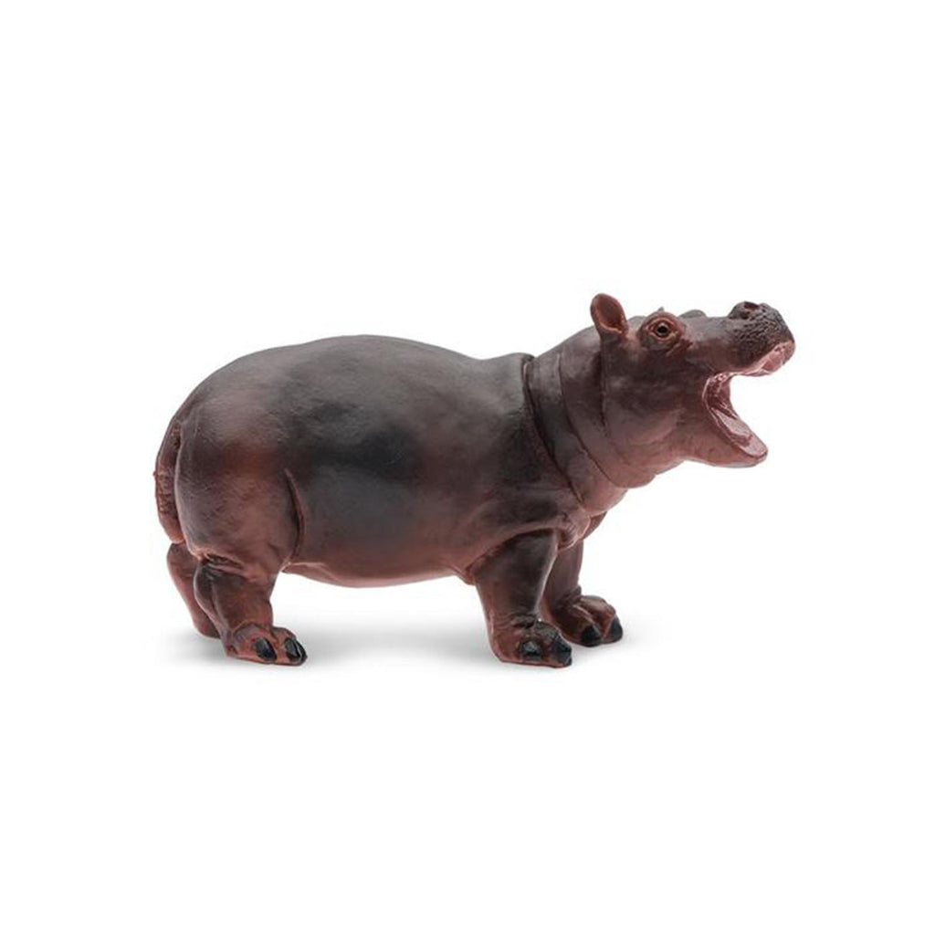 Hippopotamus Baby Wild Safari Animal Figure Safari Ltd - Radar Toys