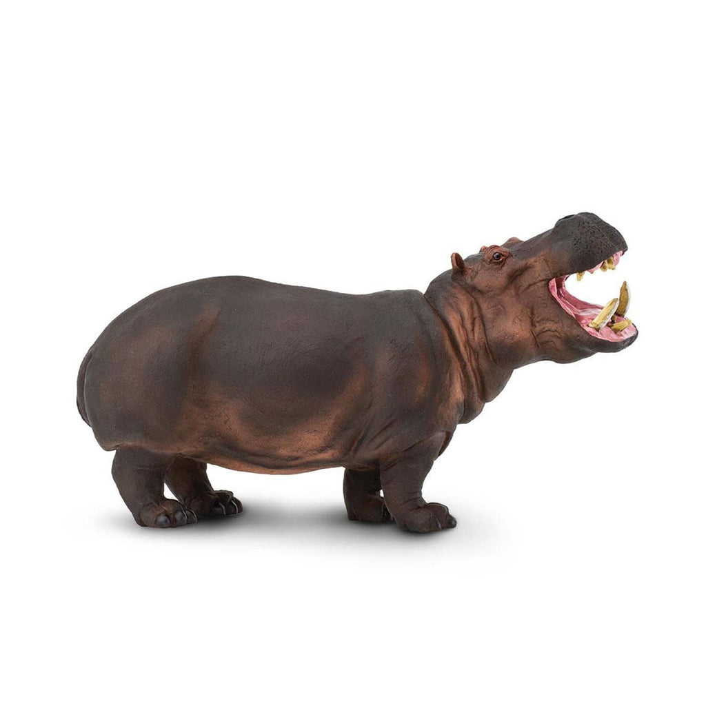 Hippopotamus Incredible Creatures Animal Figure Safari Ltd - Radar Toys