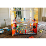 Holi Festival Of Colors The Board Game - Radar Toys
