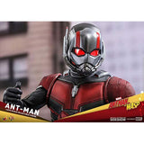 Hot Toys Ant-Man And The Wasp Movie Masterpiece Ant-Man Figure - Radar Toys