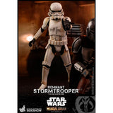 Hot Toys Star Wars The Mandalorian Remnant Storm Trooper Figure - Radar Toys