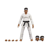 Icon Heroes The Karate Kid Daniel Larusso Action Figure - Radar Toys