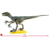 Jurassic World Amber Collection Velociraptor Blue Figure - Radar Toys