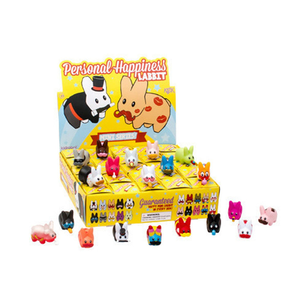 Kidrobot Happy Labbit Personal Happiness Mini Blind Box Series