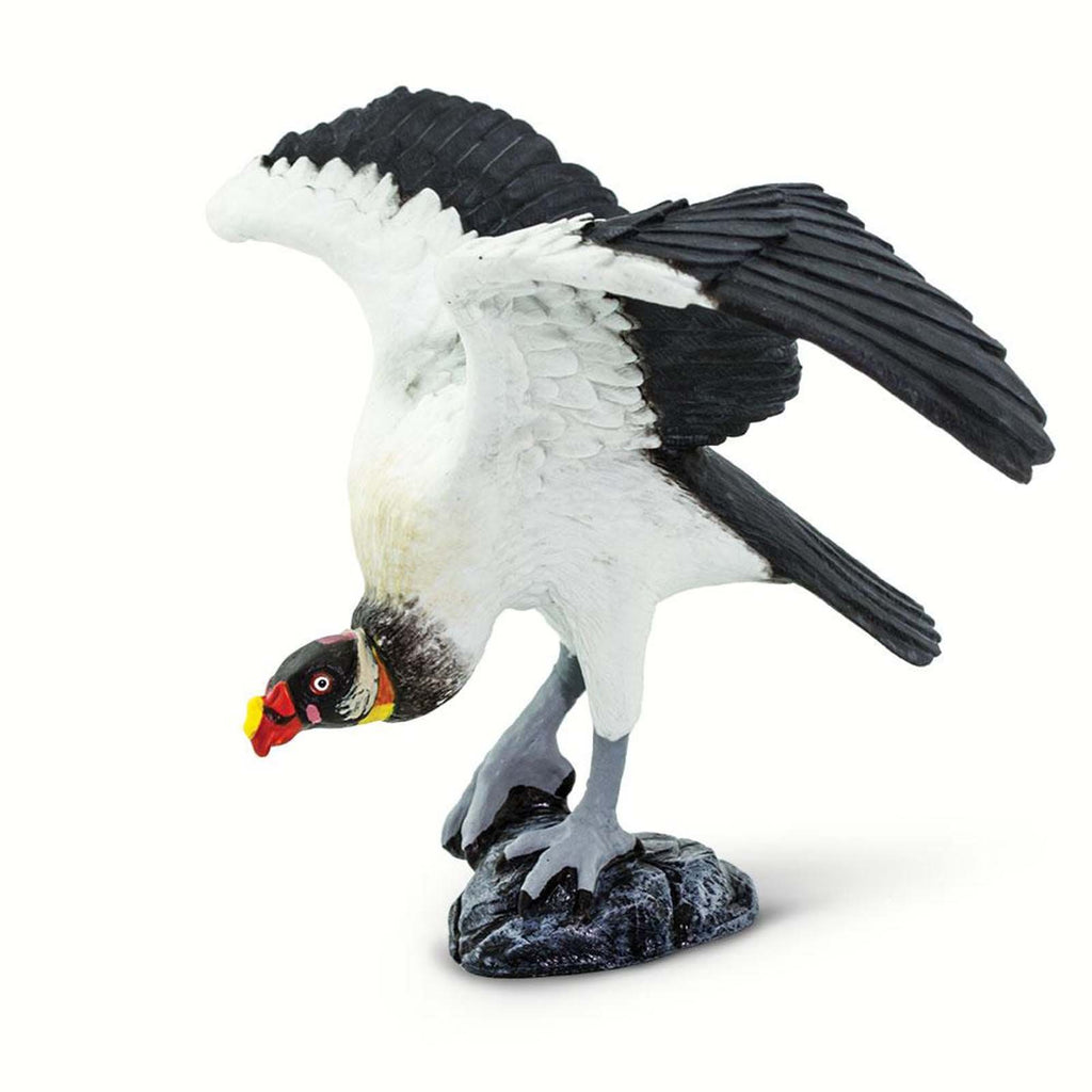 King Vulture Wings of the World Animal Figure Safari Ltd 100270 - Radar Toys