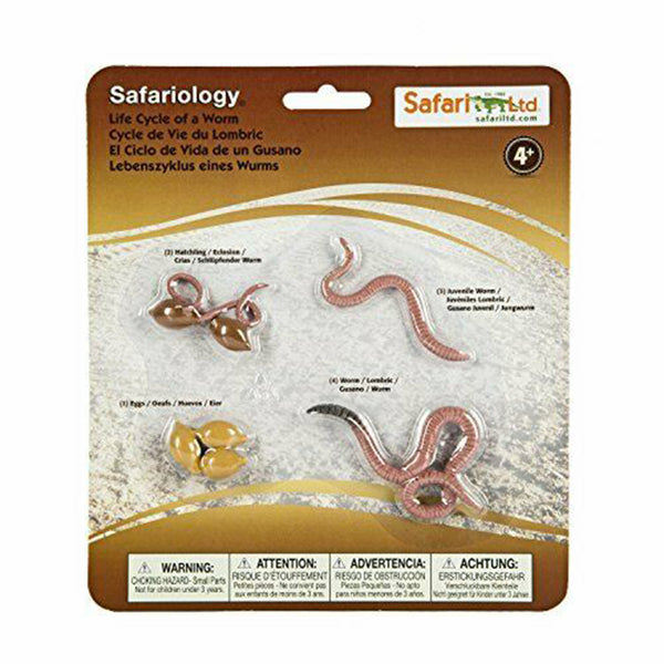 Life Cycle Of A Worm Figures Safari Ltd 664016 | Radar Toys