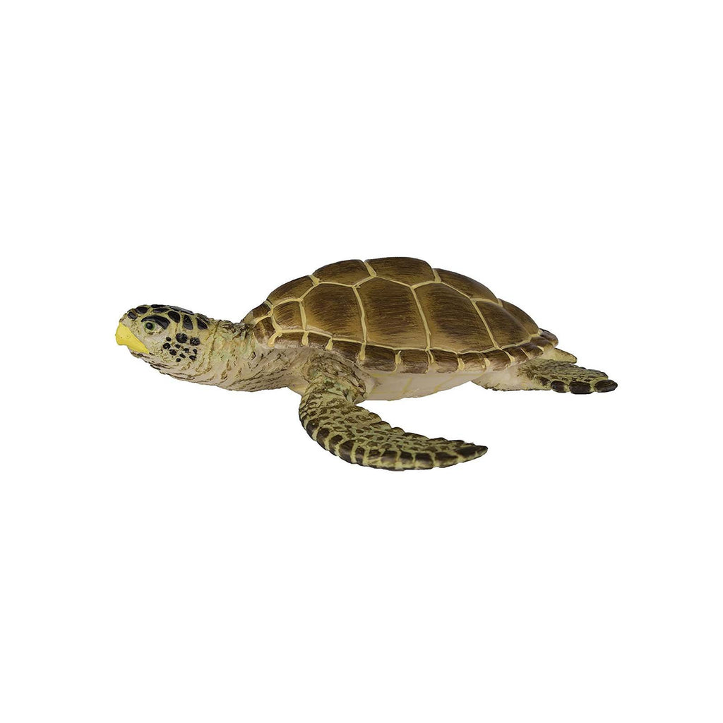 Loggerhead Turtle Wild Safari Animal Figure Safari Ltd - Radar Toys