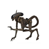 NECA Alien 3 Ultimate Dog Alien Edition 7 Inch Action Figure - Radar Toys