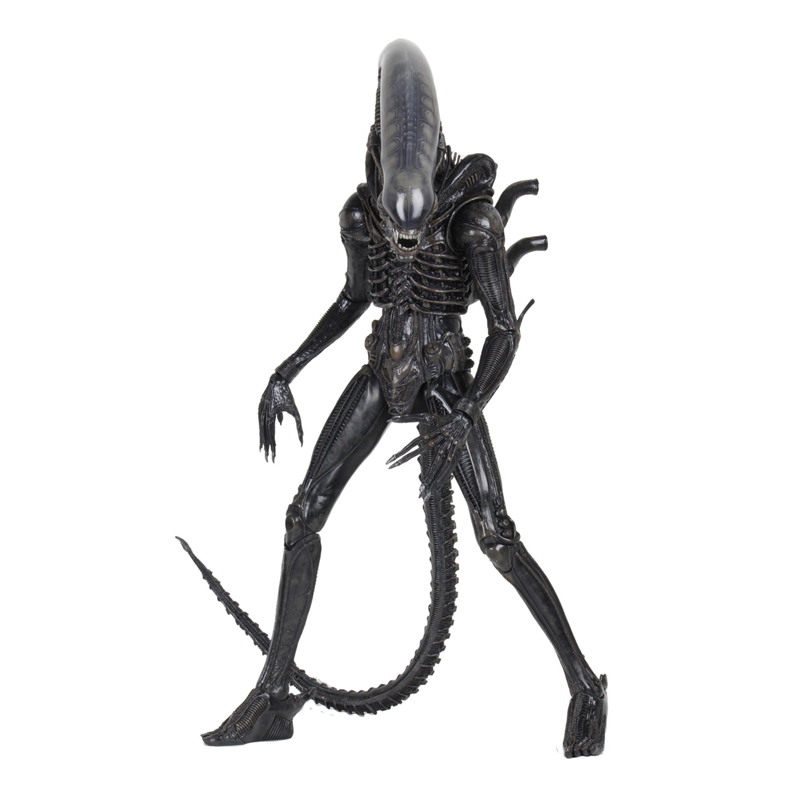 NECA Alien Xenomorph Quarter Scale Action Figure | Radar Toys