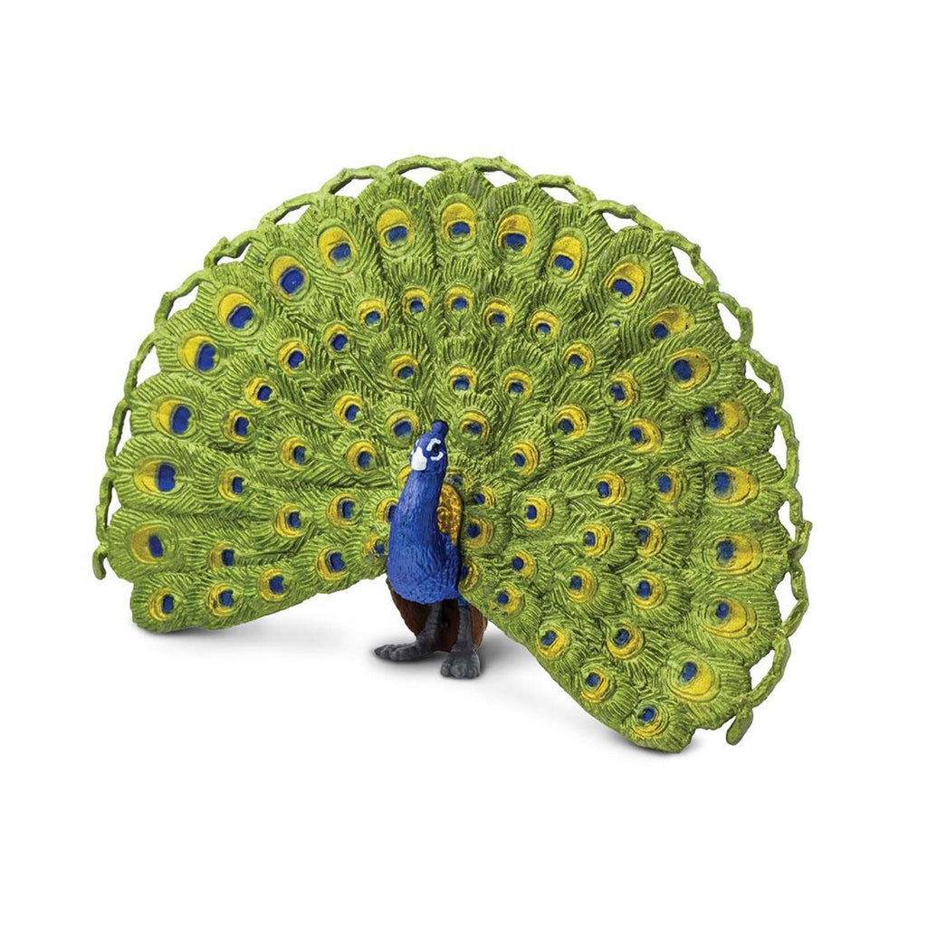 Peacock Wings Of The World Birds Figure Safari Ltd - Radar Toys