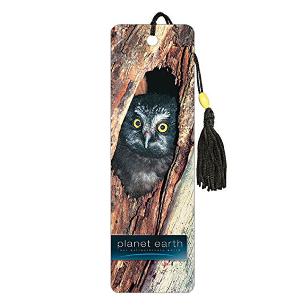 Planet Earth Owl Premier Bookmark - Radar Toys