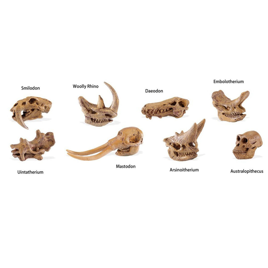 Prehistoric Mammal Skulls Toob Mini Figures Safari Ltd - Radar Toys