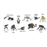 Primates Toob Animal Figures Safari Ltd 100323 - Radar Toys