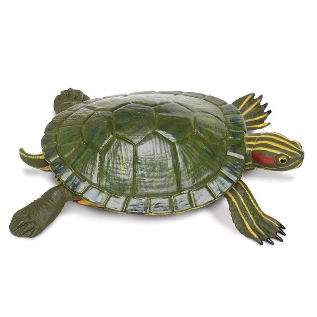 Red-Eared Slider Turtle Incredible Creatures Figure Safari Ltd
