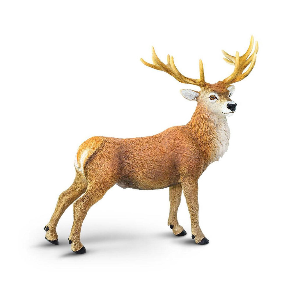 Red Deer Buck Wild Safari Animal Figure Safari Ltd - Radar Toys