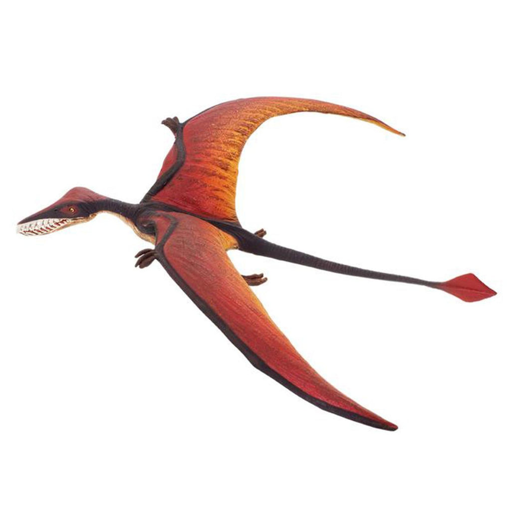 Rhamphorhynchus Wild Safari Dinosaur Figure Safari Ltd - Radar Toys