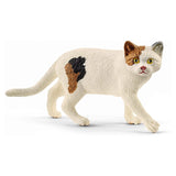 Schleich American Shorthair Cat Animal Figure 13894 - Radar Toys