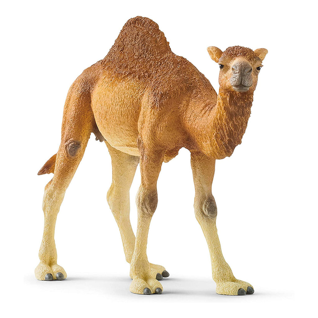 Schleich Dromedary Animal Figure 14832