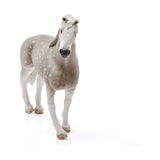 Schleich Holsteiner Gelding Animal Figure 13859 - Radar Toys