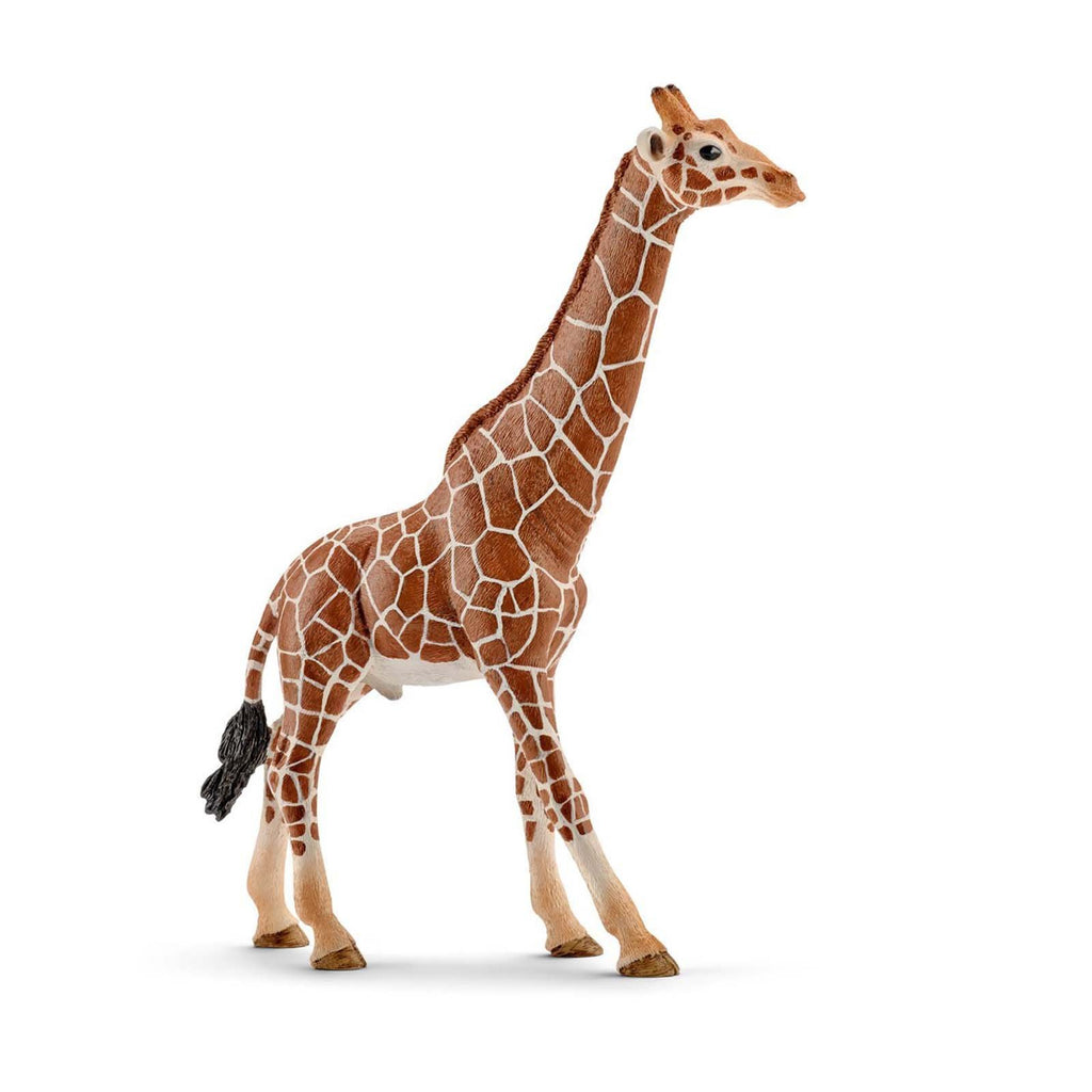 Schleich Male Giraffe Figure