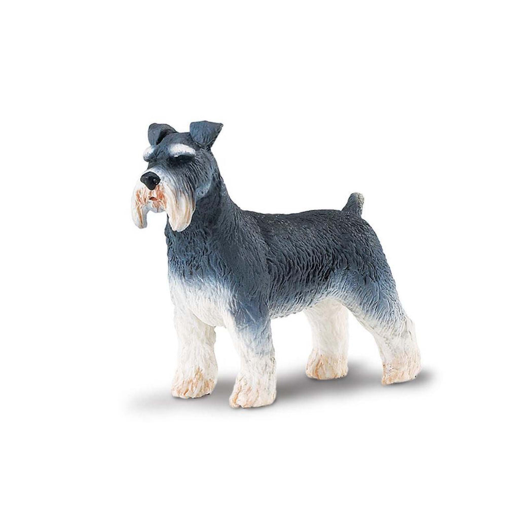 Schnauzer Best In Show Dogs Figure Safari Ltd - Radar Toys