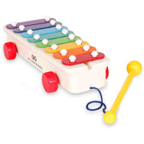 Schylling Fisher Price Classic Xylophone Toy - Radar Toys