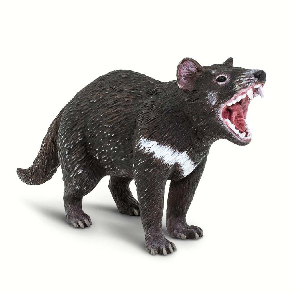 Tasmanian Devil Wild Safari Animal Figure Safari Ltd 100247 - Radar Toys