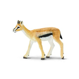 Thomson's Gazelle Wild Safari Animal Figure Safari Ltd - Radar Toys