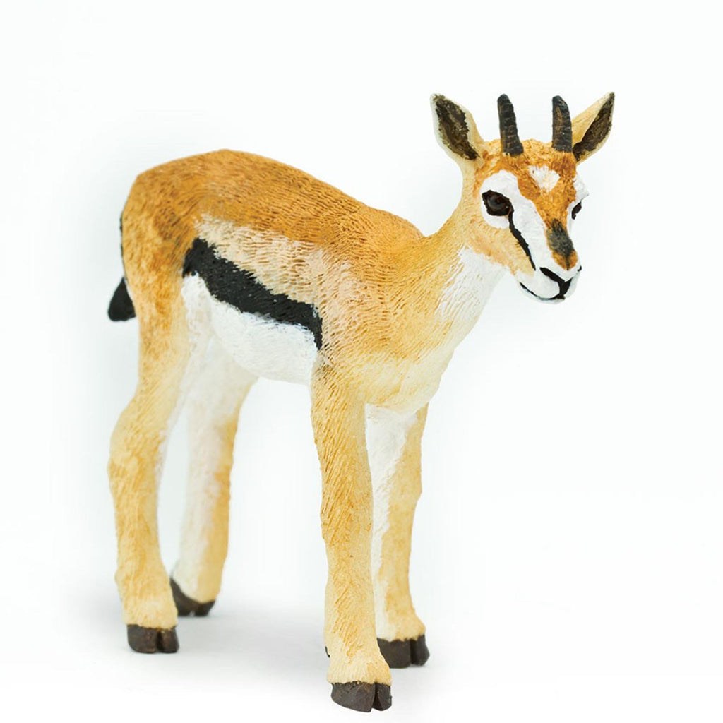 Thomson's Gazelle Wild Safari Animal Figure Safari Ltd