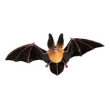 Townsend's Big-Eared Bat Incredible Creatures Animal Figure Safari Ltd - Radar Toys