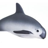 Vaquita Porpoise Figure Safari Ltd - Radar Toys