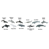 Whales and Dolphins Toob Mini Figures Safari Ltd - Radar Toys