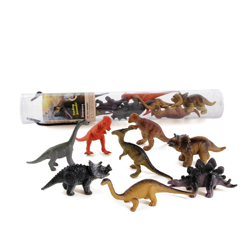 Wenno Dinosaurs With Augmented Reality Set 2 Large Fun Tube - Radar Toys