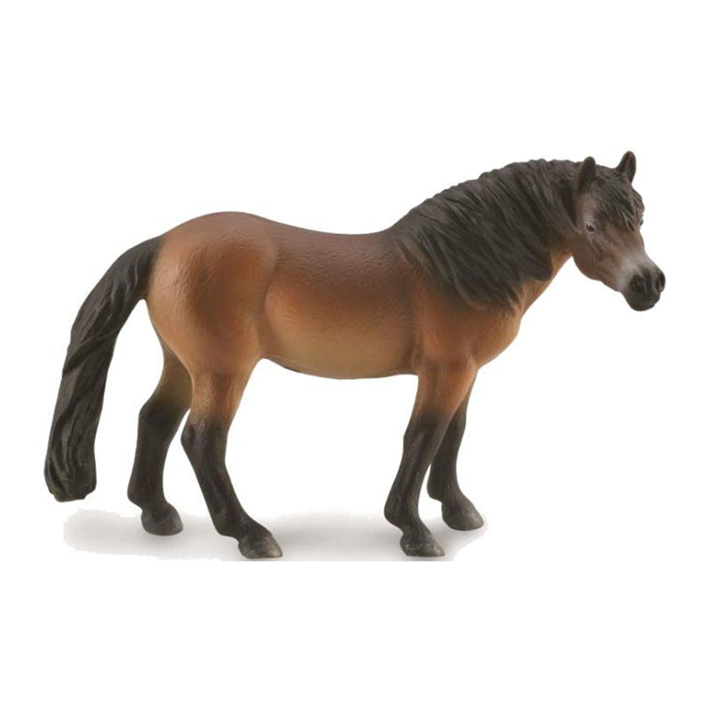 CollectA Exmoor Pony Stallion Horse Figure 88873 - Radar Toys
