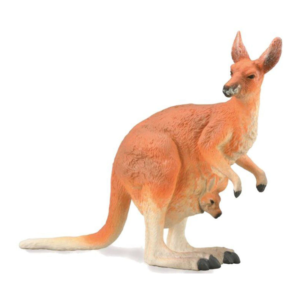 CollectA Red Kangaroo Animal Figure 88921 - Radar Toys
