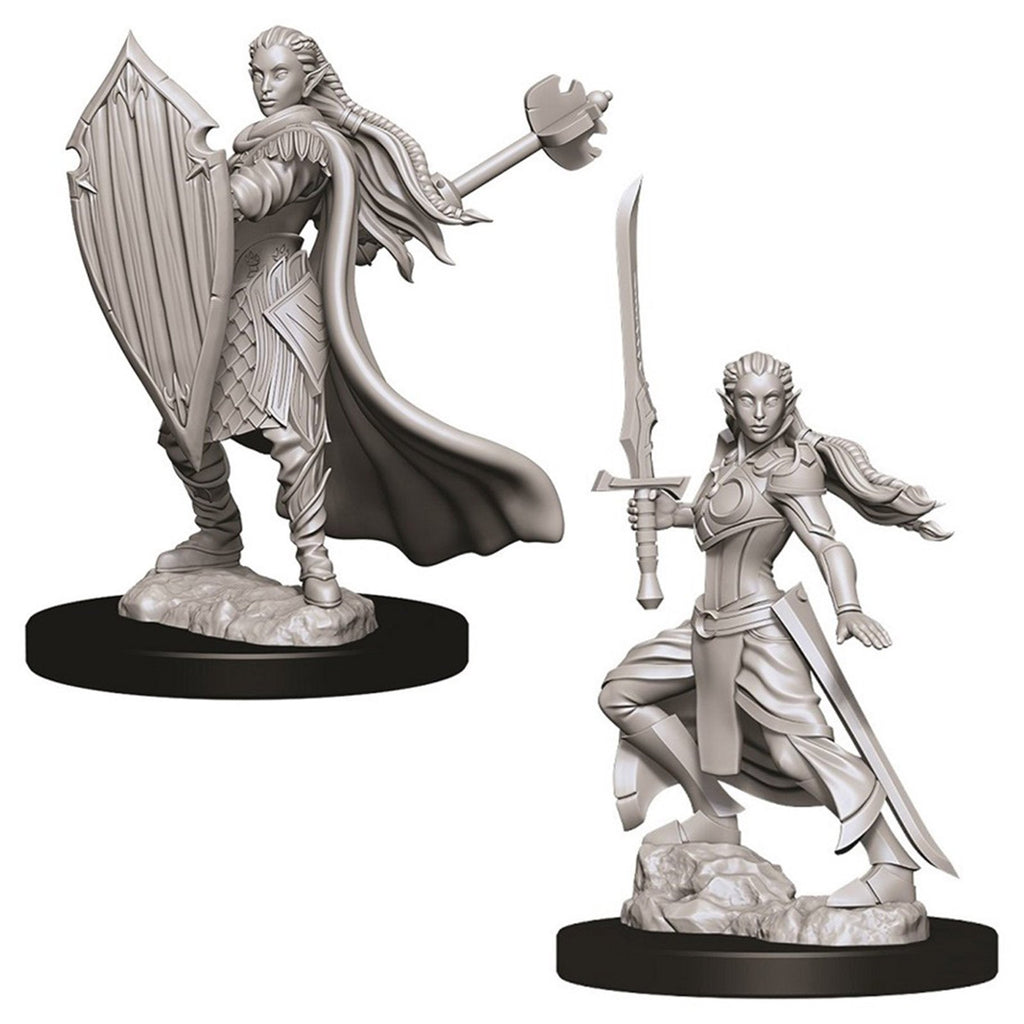 Dungeons And Dragons Female Elf Paladin Nolzur's Miniatures