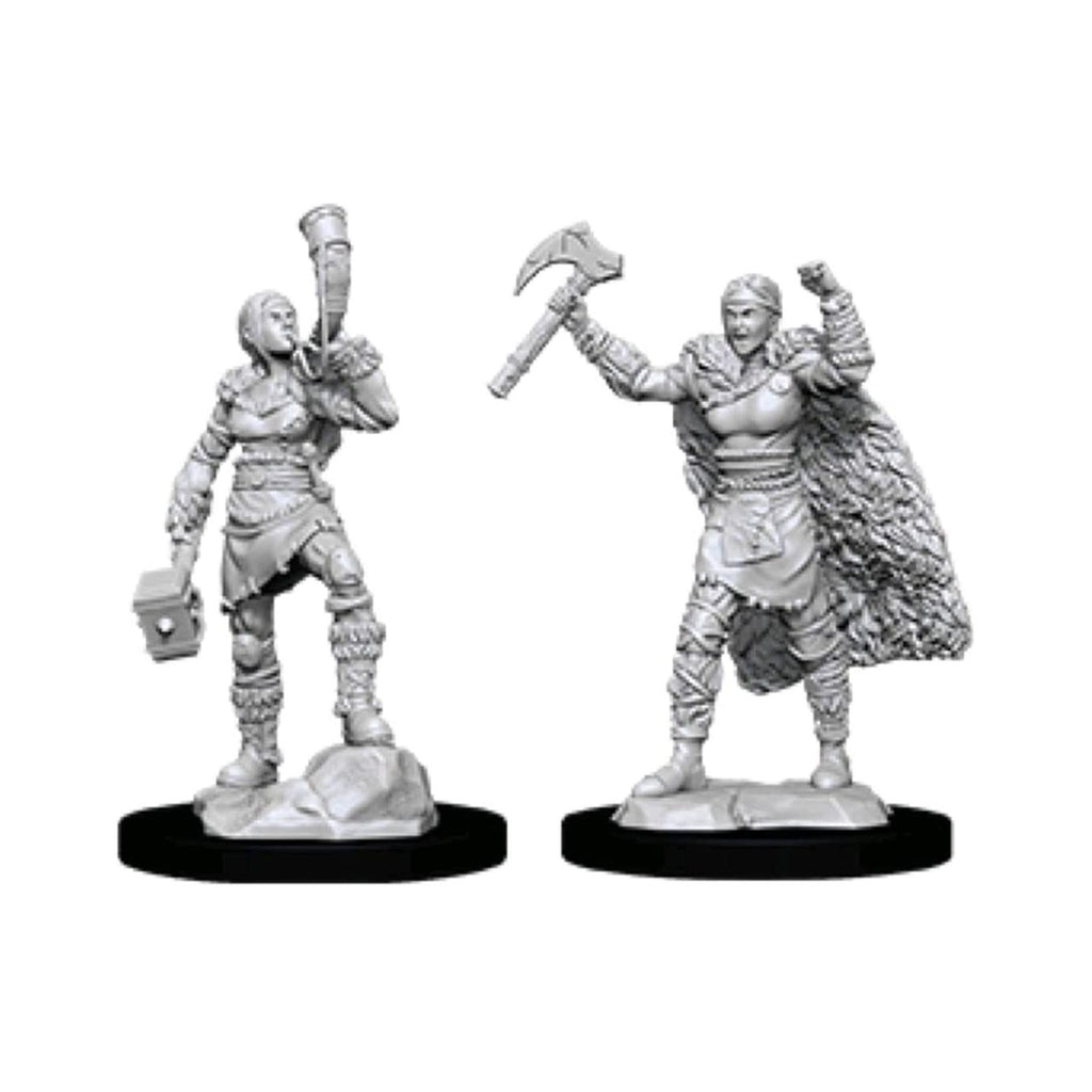 Dungeons and Dragons Female Human Barbarian Nolzur's Miniatures