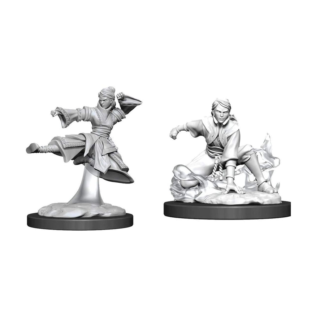 Dungeons and Dragons Female Human Monk Nolzur's Miniatures