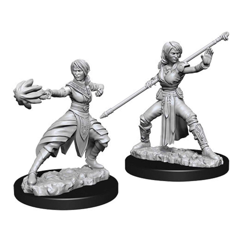 Dungeons and Dragons Half-Elf Monk Nolzur's Miniatures
